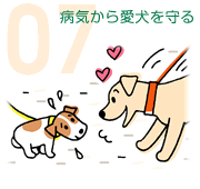 07：病気から愛犬を守る